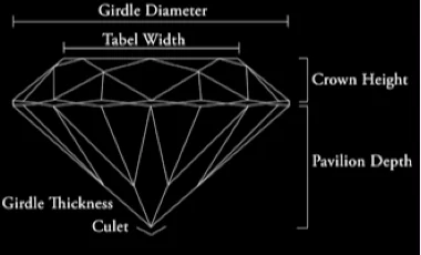 diamond anatomy