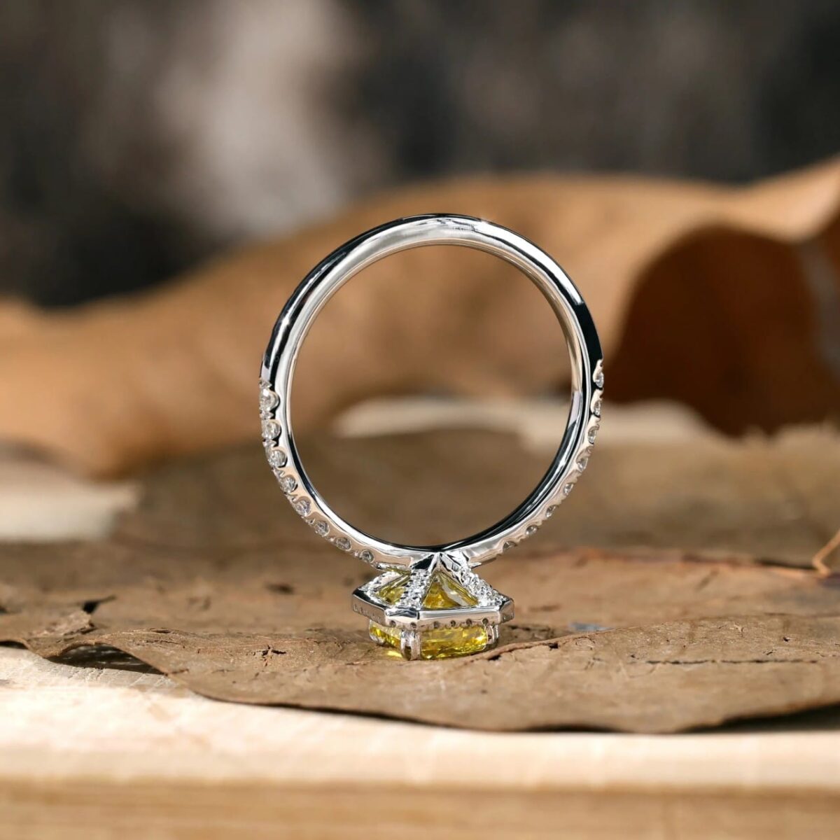Western Inspired Jewellery Online | Primira Luxury