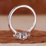 010_c78e4053-8675-462c-ac65-98e8837728ff