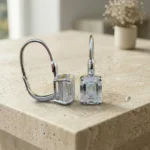 EAR-EWR-MOS-24-DR19 (2)