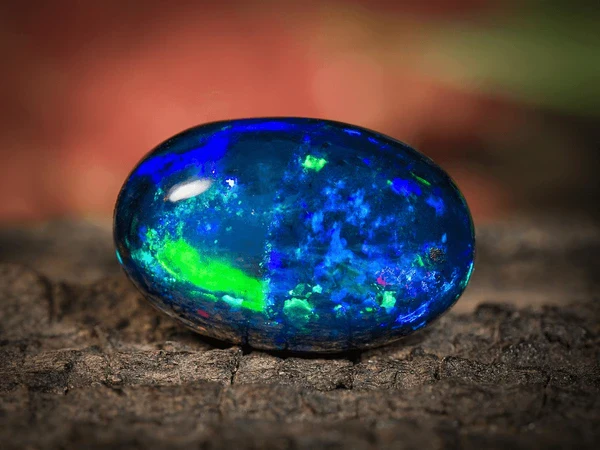 how much is opal worth ? 1 How Much Is Opal Worth ? Online | Primira Luxury